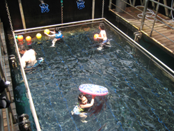 Kids Pool quick silver cruise, sailing to lembongan, day cruises, how to get lembongan island, lembongan transfer, night cruise, cruise bali, dinner cruise, boat cruise, sunset cruise bali, childreen pool